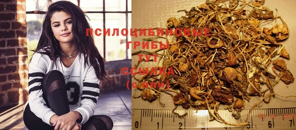 кокс Алзамай