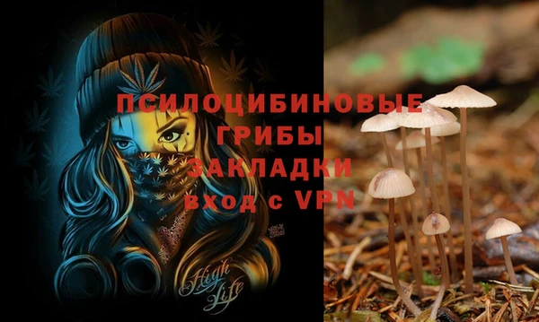 соль ск Алексин