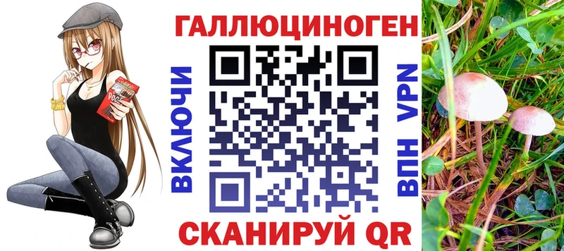 ссылка на мегу зеркало  Белебей  Галлюциногенные грибы Cubensis 